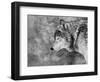 Let it Snow-Victoria Ivanova-Framed Photographic Print