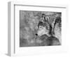 Let it Snow-Victoria Ivanova-Framed Photographic Print