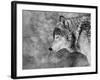 Let it Snow-Victoria Ivanova-Framed Photographic Print