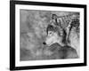 Let it Snow-Victoria Ivanova-Framed Photographic Print