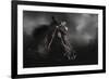 Let Me Run-Jai Johnson-Framed Giclee Print