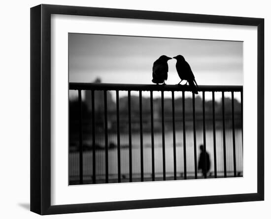 Let's Be Quiet Together-Sharon Wish-Framed Photographic Print