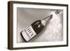 Let's Celebrate, Champagne Bottle-null-Framed Art Print