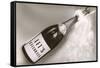 Let's Celebrate, Champagne Bottle-null-Framed Stretched Canvas