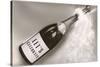 Let's Celebrate, Champagne Bottle-null-Stretched Canvas