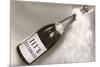 Let's Celebrate, Champagne Bottle-null-Mounted Premium Giclee Print