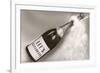 Let's Celebrate, Champagne Bottle-null-Framed Art Print