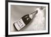 Let's Celebrate, Champagne Bottle-null-Framed Art Print