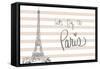 Let's Fly to Paris on Pink-Nicholas Biscardi-Framed Stretched Canvas