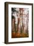 Let's Get Lost-Philippe Sainte-Laudy-Framed Photographic Print