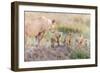 Let's Go Mom-Ted Taylor-Framed Giclee Print