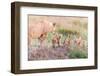 Let's Go Mom-Ted Taylor-Framed Photographic Print