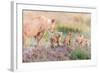 Let's Go Mom-Ted Taylor-Framed Photographic Print