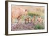 Let's Go Mom-Ted Taylor-Framed Photographic Print