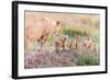 Let's Go Mom-Ted Taylor-Framed Photographic Print