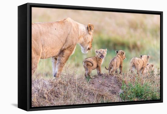 Let's Go Mom-Ted Taylor-Framed Stretched Canvas