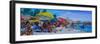 Let's Go Swimming-Andrii Kutsachenko-Framed Photographic Print