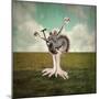 Let'S Move-ValentinaPhotos-Mounted Premium Giclee Print