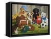 Let's Play Ball-William Vanderdasson-Framed Stretched Canvas