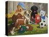 Let's Play Ball-William Vanderdasson-Stretched Canvas