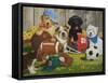 Let's Play Ball-William Vanderdasson-Framed Stretched Canvas