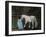 Let's Pretend - the Princess and Her Horse-Kirstie Adamson-Framed Giclee Print