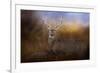 Let the Season Begin-Jai Johnson-Framed Giclee Print