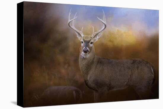 Let the Season Begin-Jai Johnson-Stretched Canvas