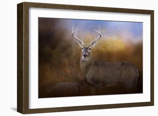 Let the Season Begin-Jai Johnson-Framed Giclee Print