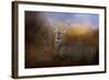 Let the Season Begin-Jai Johnson-Framed Giclee Print