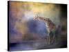 Let the Sun Shine in Giraffe-Jai Johnson-Stretched Canvas