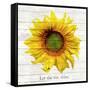 Let The Sun Shine-ALI Chris-Framed Stretched Canvas