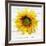 Let The Sun Shine-ALI Chris-Framed Giclee Print