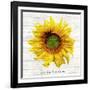 Let The Sun Shine-ALI Chris-Framed Giclee Print