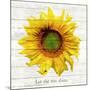 Let The Sun Shine-ALI Chris-Mounted Giclee Print