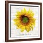 Let The Sun Shine-ALI Chris-Framed Giclee Print