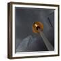 Let There Be Light-Jeroen Van-Framed Photographic Print