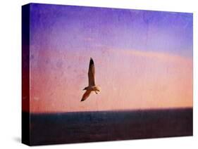 Let Your Spirit Soar-Christy Ann-Stretched Canvas