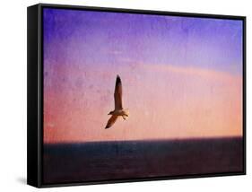 Let Your Spirit Soar-Christy Ann-Framed Stretched Canvas