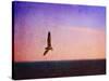 Let Your Spirit Soar-Christy Ann-Stretched Canvas