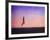 Let Your Spirit Soar-Christy Ann-Framed Giclee Print