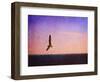 Let Your Spirit Soar-Christy Ann-Framed Premium Giclee Print