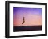 Let Your Spirit Soar-Christy Ann-Framed Premium Giclee Print