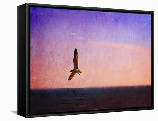 Let Your Spirit Soar-Christy Ann-Framed Stretched Canvas