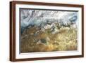 Brown Frame