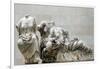 Leto, Artemis and Aphrodite from Parthenon East Pediment-null-Framed Giclee Print