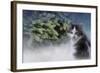 Lets Decorate-Jai Johnson-Framed Giclee Print