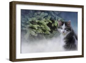 Lets Decorate-Jai Johnson-Framed Giclee Print