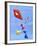 Lets Go Fly a Kite-Cindy Thornton-Framed Art Print