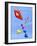 Lets Go Fly a Kite-Cindy Thornton-Framed Art Print